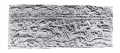 Εικ. 2. Μεσαιωνικό Μουσείο Λεμεσού: η ανάγλυφη πλευρά της σαρκοφάγου του αγίου Ρηγίνου (Αθ. Παπαγεωργίου, «Η Χριστιανική Τέχνη στην Κύπρο»